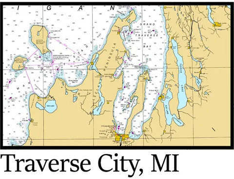 Traverse City Performance Shirt LS